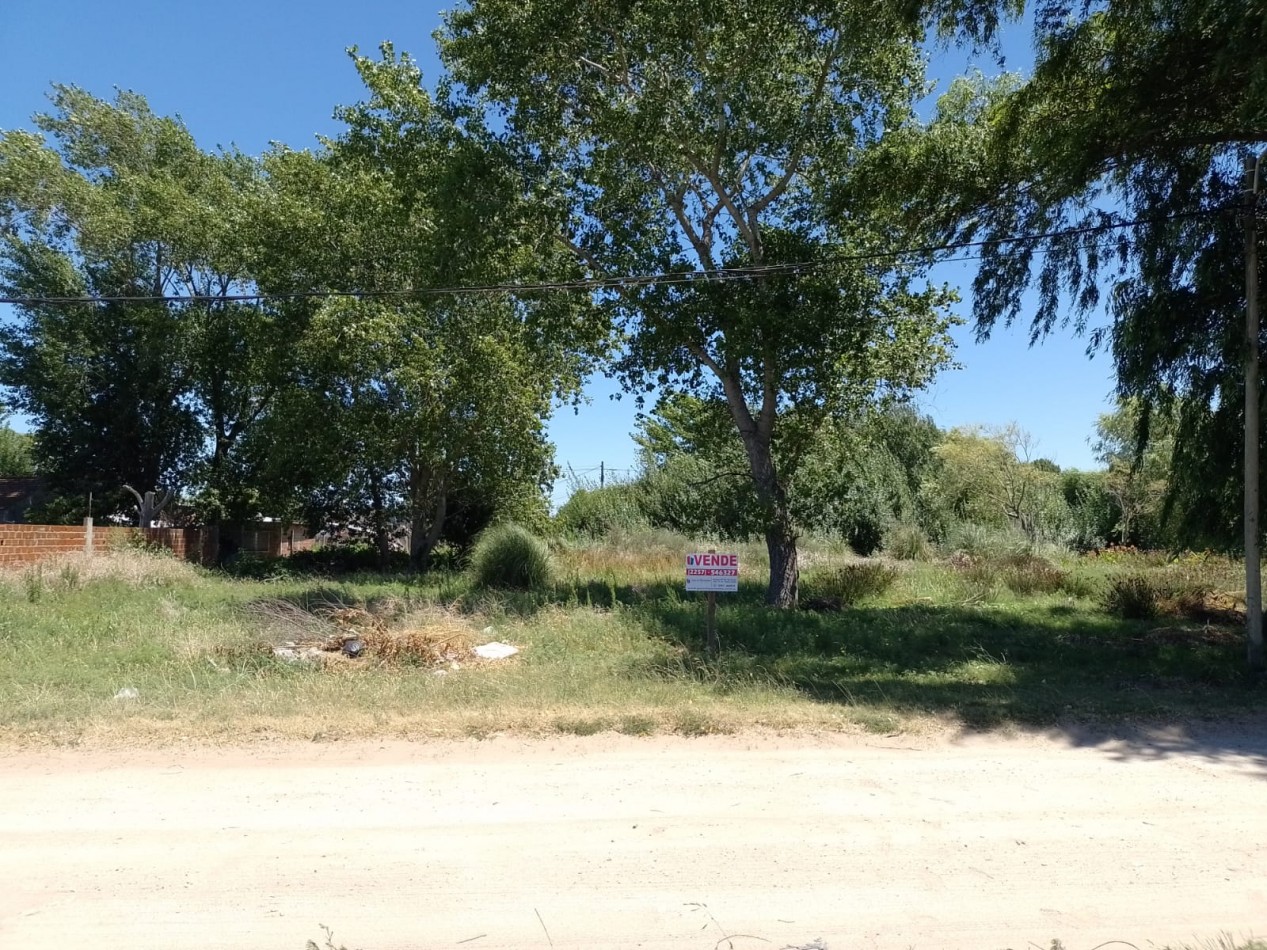 HERMOSO LOTE APTO LOGISTICA