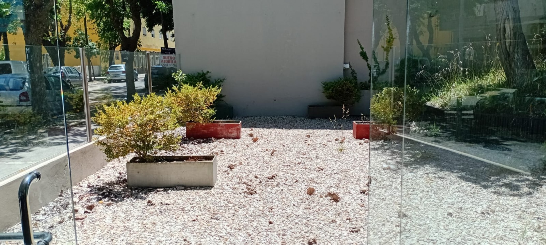 LOCAL COMERCIAL CON VIVIENDAS